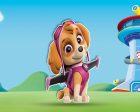 Paw Patrol Theme Cutout PWP-06 Cheap