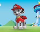 Paw Patrol Theme Cutout PWP-04 Supply