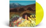 BRITTANY HOWARD - WHAT NOW (VINYL) on Sale