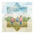 BIG BIG TRAIN - THE LIKES OF US (GATEFOLD BLACK 2LP) Sale