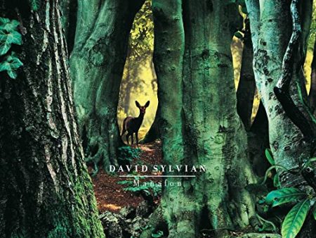 DAVID SYLVIAN - MANAFON (VINYL) Hot on Sale