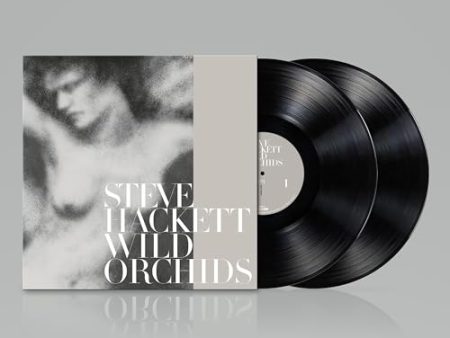 STEVE HACKETT - WILD ORCHIDS (VINYL RE-ISSUE 2023) Online Hot Sale