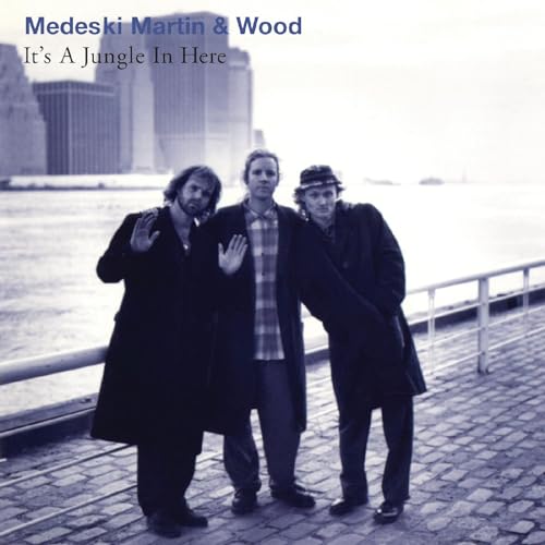 MEDESKI, MARTIN & WOOD - IT S A JUNGLE IN HERE (VINYL) Hot on Sale