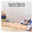 DAVID NANCE - DAVID NANCE & MOWED SOUND (VINYL) For Sale