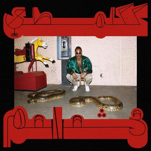 SHABAZZ PALACES - ROBED IN RARENESS Online now